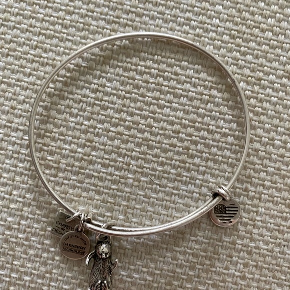 Alex & Ani bracelets - Picture 4 of 4